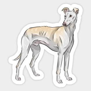 Spanish Galgo Dog |  Spanish Greyhound Sticker